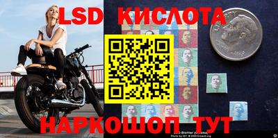 гидропоника Кумертау