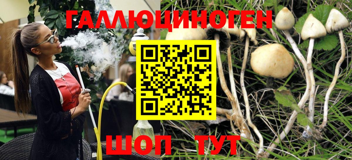 Жуковский  Псилоцибиновые грибы Psilocybine cubensis  Галлюциногенные грибы прущие грибы  Вход с VPN 